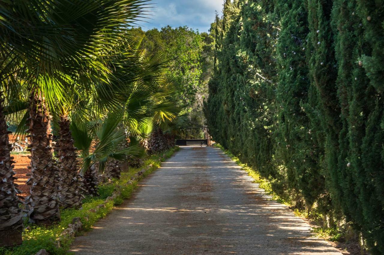 Villa Can Fita Puig D'en Valls Exteriör bild