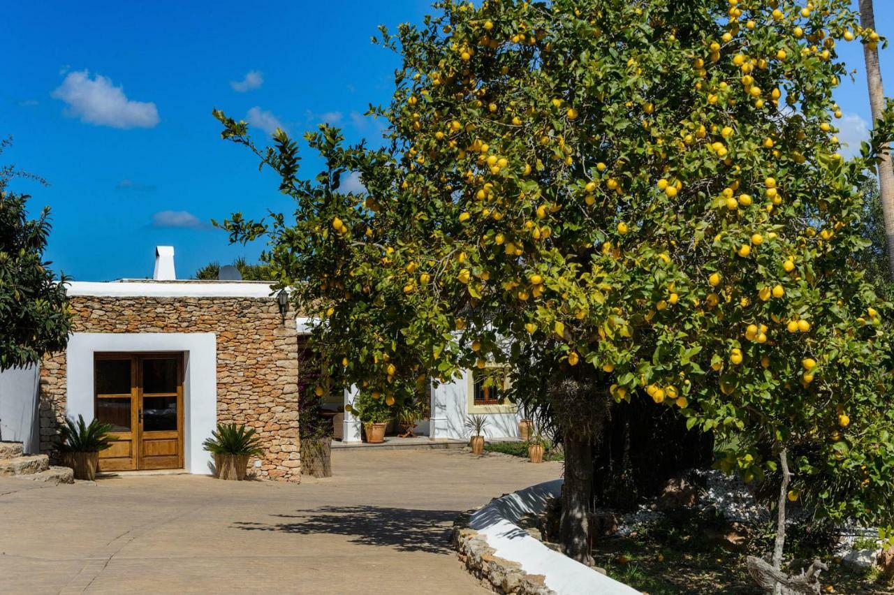Villa Can Fita Puig D'en Valls Exteriör bild